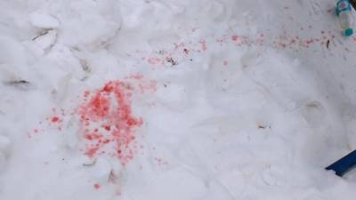 Плохой пранк: Розовый снег в Киеве оказался не ядом – видео