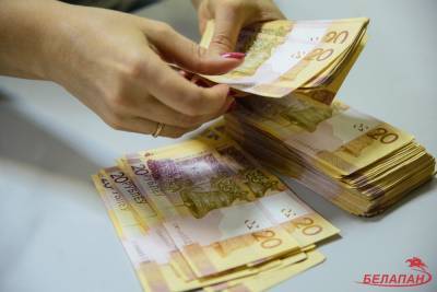 Средняя зарплата в Минске в январе снизилась до 710 долларов