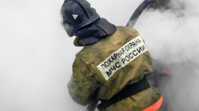 Пожар разгорелся на предприятии "Химпэк" в Ростовской области