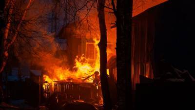 Мужчина и годовалый ребенок заживо сгорели в Ульяновской области
