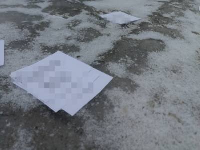 На братской могиле под Воронежем нашли листовки с призывами к незаконным акциям
