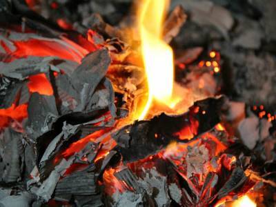 Шестилетний мальчик заживо сгорел при пожаре в Одинцово