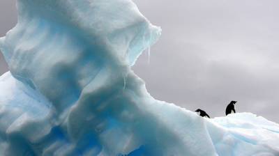 Ученые разгадали тайну исчезнувшего льда на Земле