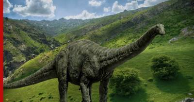 Новый вид динозавра, найденный в Узбекистане, сделал прорыв в палеонтологии