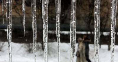 В пятницу в Украине будет сухо и по-весеннему тепло: прогноз погоды на 26 февраля