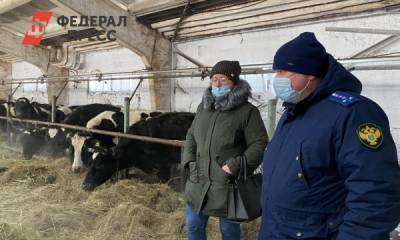 На ферме свердловского депутата нашли голодных коров