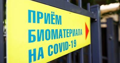 Где в Калининградской области за сутки выявили COVID-19 (список муниципалитетов)