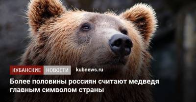 Более половины россиян считают медведя главным символом страны