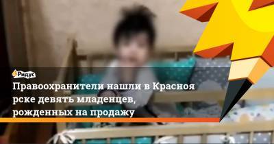Правоохранители нашли вКрасноярске девять младенцев, рожденных напродажу