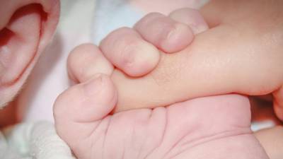 Правоохранители нашли рожденных на продажу младенцев в Красноярске