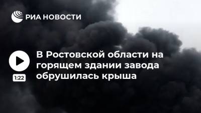 В Ростовской области на горящем здании завода обрушилась крыша
