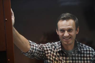 Алексей Навальный - Витольд Ващиковский - Евродепутат назвал санкции ЕС из-за Навального «бессмысленным наказанием» - lenta.ru