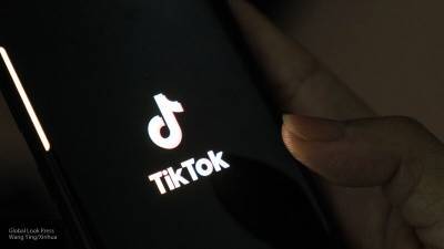 Судимость за TikTok: назван главный способ уберечь молодежь от митингов