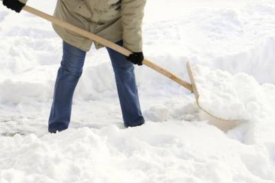 Ярославский губернатор потребовал чиновников взять лопаты в руки