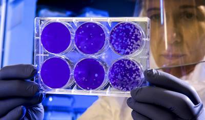 Эксперт дал оценку прогнозу ВОЗ о сроках окончания пандемии коронавируса