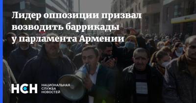 Лидер оппозиции призвал возводить баррикады у парламента Армении
