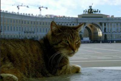 Эрмитажные коты получат 3 тысячи евро от французского мецената