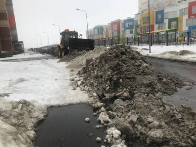 «Третья дочь Путина» возмутилась неубранным снегом в Петербурге