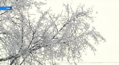 МЧС Башкирии предупреждает о морозной и ветреной погоде