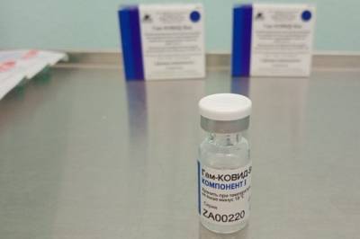 Черногория получила 5 тысяч доз российской вакцины «Спутник V»