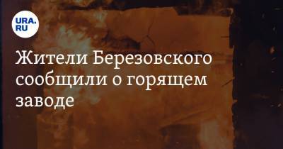 Жители Березовского сообщили о горящем заводе. Ответ МЧС