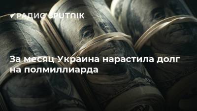 За месяц Украина нарастила долг на полмиллиарда