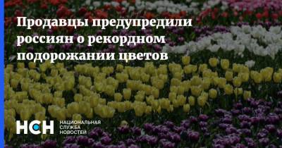 Продавцы предупредили россиян о рекордном подорожании цветов