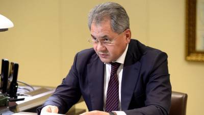 Шойгу обсудил с Арутюняном внутриполитическую обстановку в Армении