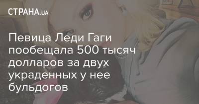 Певица Леди Гаги пообещала 500 тысяч долларов за двух украденных у нее бульдогов