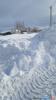 Жители Сосновки вынуждены карабкаться по сугробам, чтобы не замерзнуть в домах