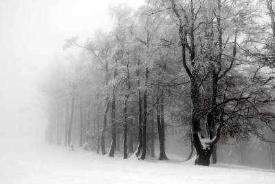 Холода обосновались в Новосибирске и не уйдут в пятницу, 26 февраля