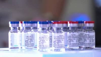 Турецкие лаборатории приступили к исследованиям российской вакцины от коронавируса
