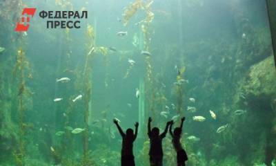 «Не понтуйтесь без Аршавина»: Барановскую затравили за фото с детьми