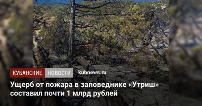 Ущерб от пожара в заповеднике «Утриш» составил почти 1 млрд рублей