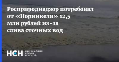 Росприроднадзор потребовал от «Норникеля» 12,5 млн рублей из-за слива сточных вод