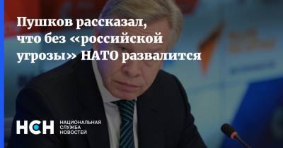 Пушков рассказал, что без «российской угрозы» НАТО развалится