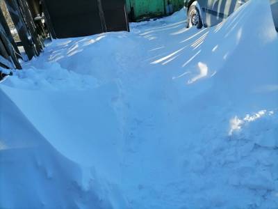 Жители Кургана жалуются на заваленные снегом улицы: «Не сходить даже за хлебом»