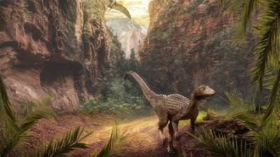 Первые останки динозавра реббахизаврида найдены в Узбекистане
