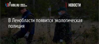 В Ленобласти появится экологическая полиция