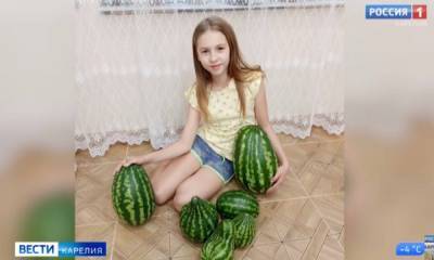 11-летняя жительница Карелии за несколько месяцев вырастила сахаристые арбузы