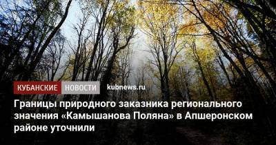 Границы природного заказника регионального значения «Камышанова Поляна» в Апшеронском районе уточнили