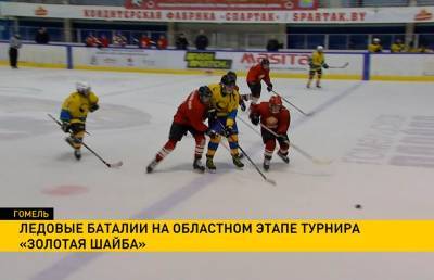 Региональный этап хоккейного турнира «Золотая шайба» проходит в Гомеле