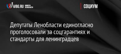 Депутаты Ленобласти единогласно проголосовали за соцгарантиях и стандарты для ленинградцев