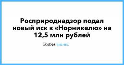 Росприроднадзор подал новый иск к «Норникелю» на 12,5 млн рублей