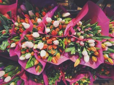 К 8 Марта в липецком "Зеленхозе" вырастили 20 тысяч тюльпанов