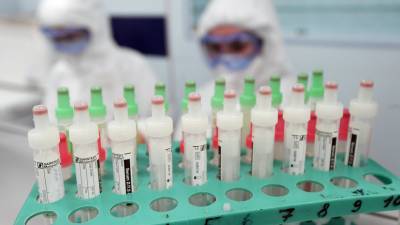 За сутки в России выявлено 11 086 случаев коронавируса