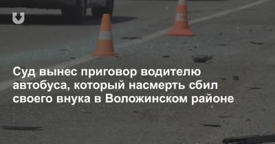 Суд вынес приговор водителю автобуса, который насмерть сбил своего внука в Воложинском районе