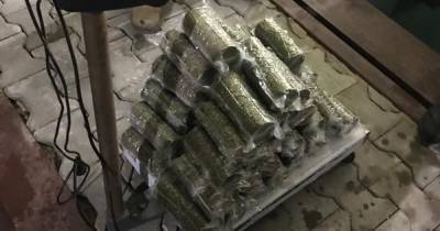 Украинец хотел провезти в Крым 20 кг наркотиков, спрятав их в бензобаке (видео)