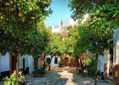 В Севилье из апельсинов будут производить чистую энергию