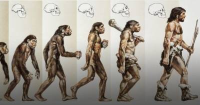 Загадка эволюции. Антропологи выяснили, когда предки людей стали прямоходящими